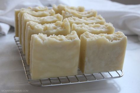 Easy Tallow Soap Recipe Beef Tallow Shampoo Bar, How To Make Tallow Soap, Tallow Goat Milk Soap Recipe, Making Tallow Soap, Tallow Soap Bar Recipe, Tallow Bar Soap, Tallow Lotion Bar Recipe, Diy Tallow Soap, Homemade Tallow Soap