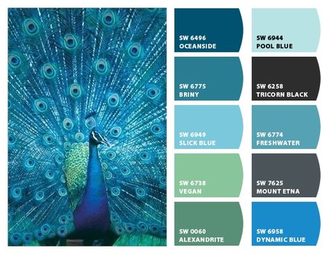 Peacock Blue Paint, Peacock Color Scheme, Peacock Bedroom, Peacock Colors, Paint Color Schemes, Peacock Color, Pallet Painting, The Peacock, Interior Paint Colors