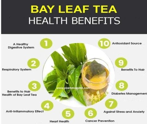 Bay leaf tea to boost immune function. - Health Vision Bay Leaf Tea Benefits, Bay Leaf Benefits, Bay Leaf Tea, Tea Health Benefits, Health Tea, Healthy Teas, Herbs For Health, Tea Benefits, Bay Leaf