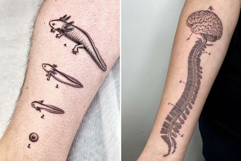 Italian Artist Creates Tattoos Inspired By Scientific And Strange Subjects Biology Themed Tattoos, Scientific Diagram Tattoo, Scientific Figure Tattoo, Scientific Tattoo Ideas, Academic Tattoo, Microbiology Tattoo, Strange Tattoos, Tattoo Earth, Nature Surrealism