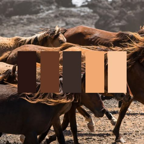 Old Western Color Palette, Old West Color Palette, Western Colour Palette, Wild West Color Palette, Western Wall Colors, Equestrian Color Palette, Modern Western Aesthetic, Cowboy Color Palette, Horse Color Palette