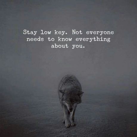 Stay Low Key, Short Positive Quotes, Life Is Beautiful Quotes, Reality Of Life Quotes, Wolf Quotes, Cute Quotes For Life, Reality Of Life, Everything About You, Lone Wolf