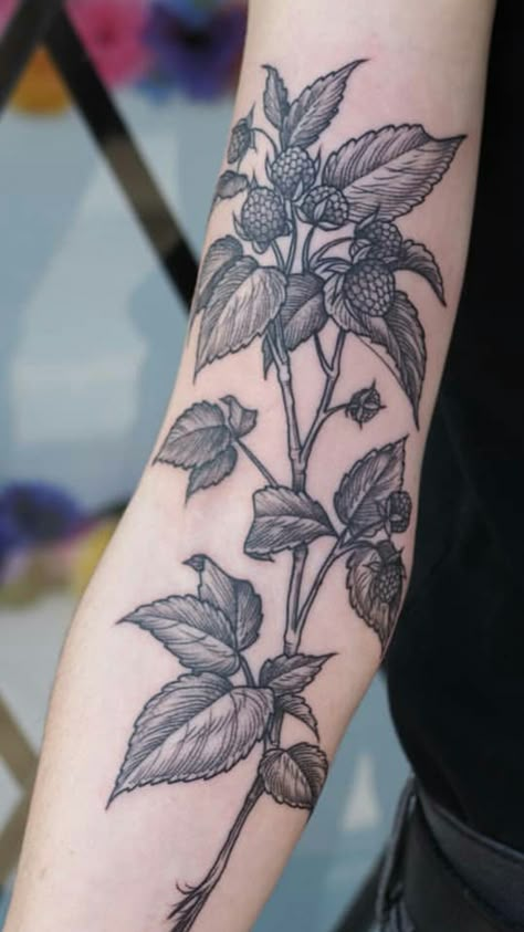 Botanical Knee Tattoo, Blackberry Vine Tattoo, Vegetable Tattoos, February Tattoo, Berry Tattoo, Blackberry Tattoo, Lisa Tattoo, Apocalypse Tattoo, Botanisches Tattoo