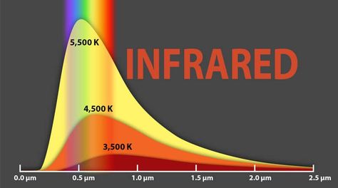 Know More About Infrared Temperature - Renke Infrared Waves, Methylene Blue, Alien Plants, Light Waves, Customized Bridesmaid Gifts, Data Logger, Infrared Light, Light Wave, Color Spectrum