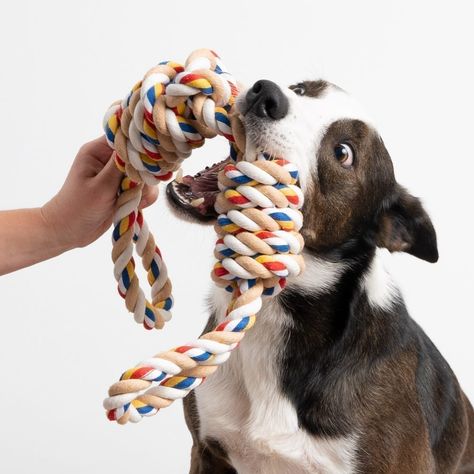 Dog Stocking, Best Dog Toys, Rope Diy, Dog Car Seat Cover, Dog Memorial Gift, Dog Safety, Pet Memorial Gifts, Dachshund Puppy, Senior Dog