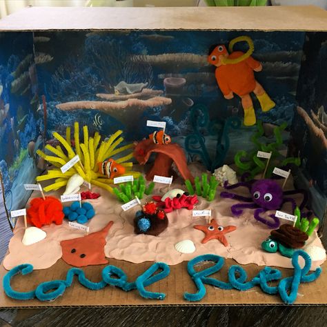 Diarama Ideas Ocean, Coral Reef Biome Shoebox Project, Coral Reef School Project, Great Barrier Reef Diorama, Coral Reef Habitat Project, Coral Reef Shoebox Project, Coral Reef Ecosystem Project, Coral Reef Diorama Projects, Coral Reef Biome Project