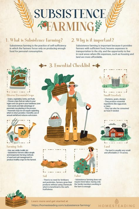 1 Acre Homestead Layout Small Farm, City Homesteading, Farming Hacks, Hobby Farms Layout, Farming House, Farming 101, Homesteading Projects, Farm Goals, Subsistence Farming