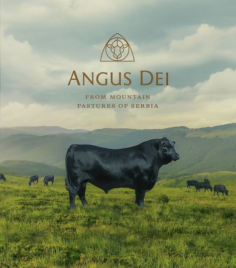 Angus Dei logo and visual Fnb Logo, Meat Logo Design, Charcuterie Branding, Angus Dei, Cow Ranch, Butcher Logo, Meat Logo, Farm Branding, Meat Packaging