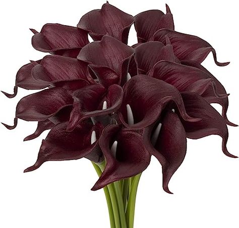 Amazon.com: Red Calla Lily Artificial Flowers Real Touch Flowers Burgundy Flowers Artificial Calla Lillies Artificial Burgundy Calla Lillies Tiger Lilly Flowers Calla Lily Bouquet for Wedding Home Decor Red Lily : Home & Kitchen Burgundy Calla Lily, Calla Lily Cake, Red Calla Lily, Black Calla Lily, Elegant Floral Arrangements, Here Comes The Son, Bouquet For Wedding, Calla Lily Flowers, Lilly Flower