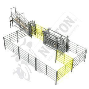 Cattle Barn Designs, Best Farm Animals, Cattle Facility, Cattle Corrals, Livestock Barn, Starting A Farm, Cattle Barn, Raising Cattle, Raising Farm Animals