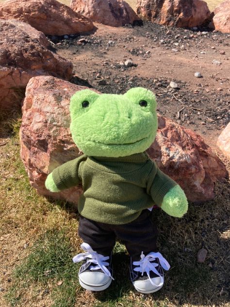 Build A Bear Frog Aesthetic Outfits, Frog Outfits, Bab Frogs, Build A Bear Frog, Stuffed Frog, Build A Bear Outfits, Frog Plush, Frog Pictures, Expressive Eyes