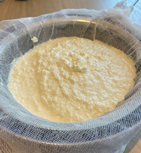 Homemade ricotta is whey better! Whey Ricotta Recipe, Whey Recipes Liquid, Homestead Food, Whey Recipes, Homemade Ricotta, Diy Cheese, Casein Protein, Ricotta Recipes, Brooklyn Apartment