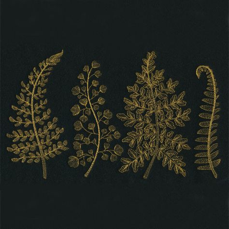 Fern Fronds | Urban Threads: Unique and Awesome Embroidery Designs Fern Cross Stitch, Fern Embroidery, Fantasy Embroidery, Embroider Ideas, Urban Threads, Basic Embroidery Stitches, Hand Embroidery Projects, Baby Lock, Applique Embroidery Designs