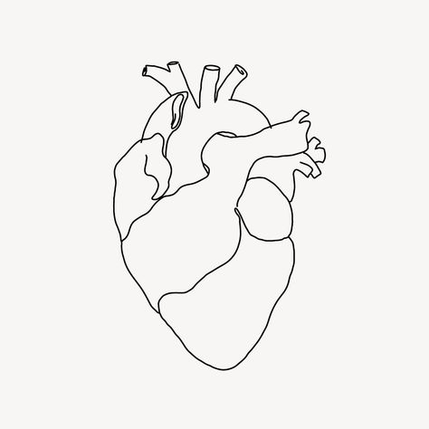 Human heart line art illustration | free image by rawpixel.com / Nardsucha Human Heart Doodle, Real Heart Drawing Easy, Heart Organ Drawing, Real Heart Drawing, Heart Outline Drawing, How To Draw A Heart Organ Step By Step, Real Heart Outline, Human Heart Drawing Easy, Heart Line Art