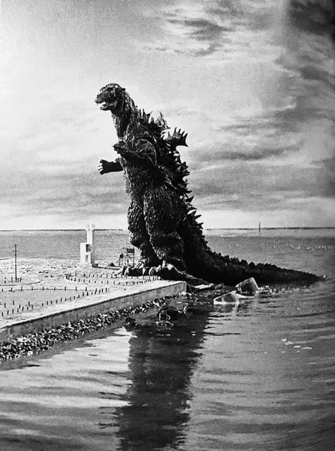 Godzilla Raids Again, Godzilla Suit, Original Godzilla, Godzilla 2, Japanese Show, Godzilla Wallpaper, All Godzilla Monsters, Japanese Monster, Kaiju Art