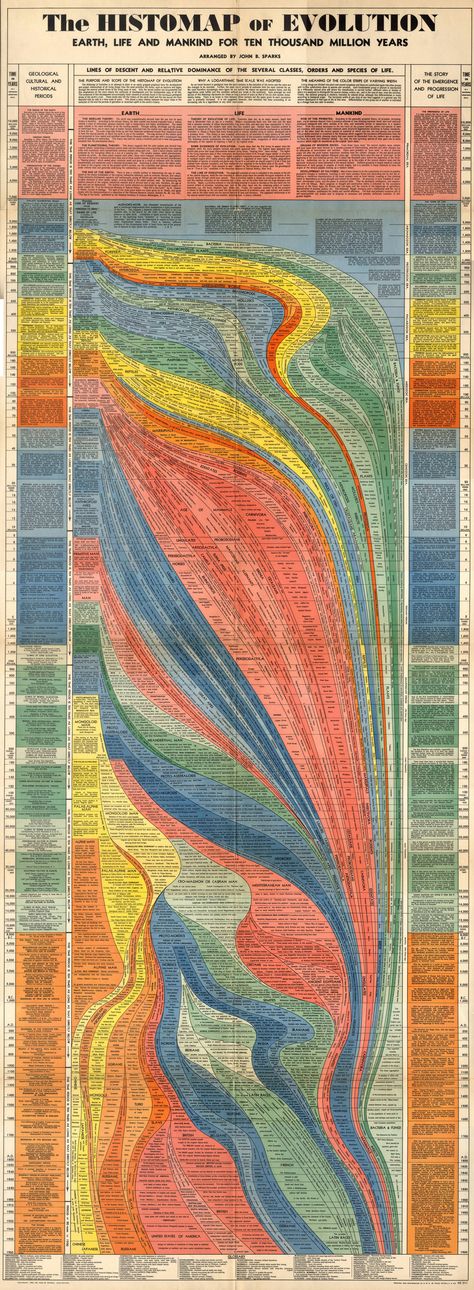 "The HISTOMAP of Evolution" – 1932, John B. Sparks [2570x6998] History Timeline, Data Visualisation, Charles Darwin, Information Design, Classroom Posters, History Facts, Data Visualization, Science And Nature, World History