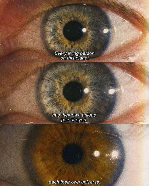 good films make life better 🇬🇪 on Instagram: “I, Origins (2014)” I Origins Quotes, I Origins, Pair Of Eyes, Boys Artwork, Cinema Quotes, Cinema Art, Movie Lines, Film Quotes, Irises