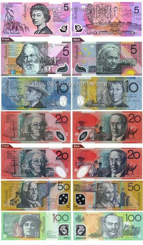 Banknotes Design, Australian Money, Money Poster, Canadian Money, Money Printables, Dollar Note, Transportation Preschool, Dollar Banknote, Currency Design