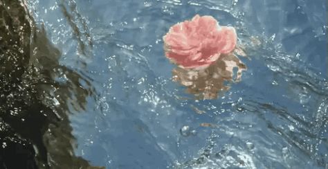 :: Cotton Candy Sky, Flowers Gif, Angel Aesthetic, 90's Fashion, Arte Obscura, Landscape Illustration, Aesthetic Gif, Fan Fiction, Film Aesthetic