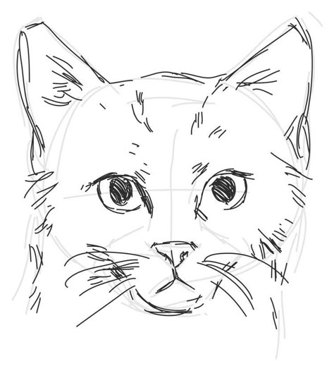 Cats Drawing Sketches, Cute Art Cartoon, Cat Drawing Sketches, Sketch Drawing Ideas, Sketches Cute, Cat Face Drawing, Cat Drawing Tutorial, Cats Art Drawing, Cat Anatomy