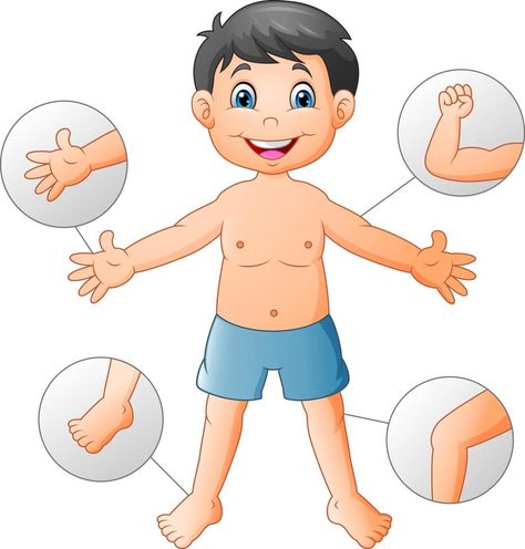 Cartoon boy Vocabulary human body Body Parts Preschool Activities, Picture Of Body, Human Body Projects, Body Preschool, Body Parts Preschool, Senses Activities, All About Me Preschool, Cartoon Body, Preschool Activities Toddler