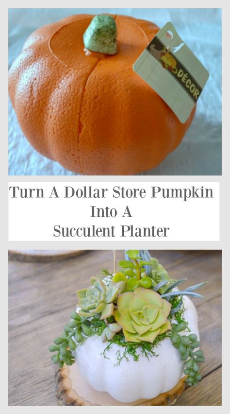 cut the top out, paint and add succulant Dollar Store Pumpkin, Outside Fall Decorations, Succulent Pumpkin, Succulent Planter Diy, Planter Diy, Fall Thanksgiving Decor, Fall Deco, Dollar Tree Diy Crafts, Fall Halloween Crafts