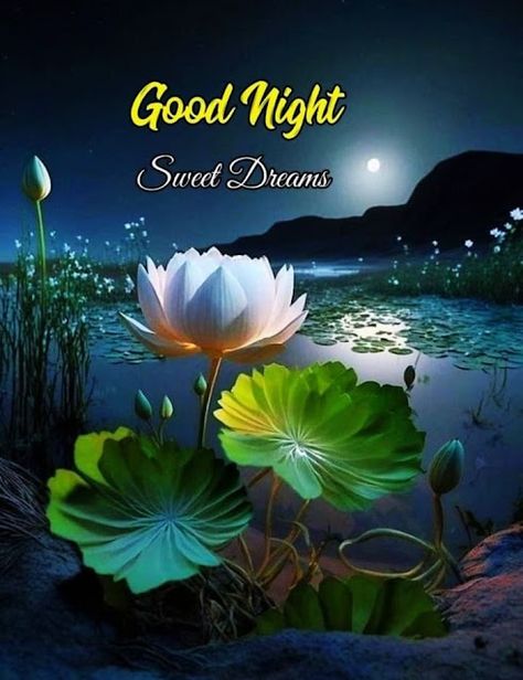 Good Night Images For USA Happy Good Night, Sweet Dreams Sleep Tight, Kisses Quotes, Good Night Love Pictures, Photos Of Good Night, New Good Night Images, Lovely Good Night, Beautiful Good Night Quotes, Good Night Sleep Tight