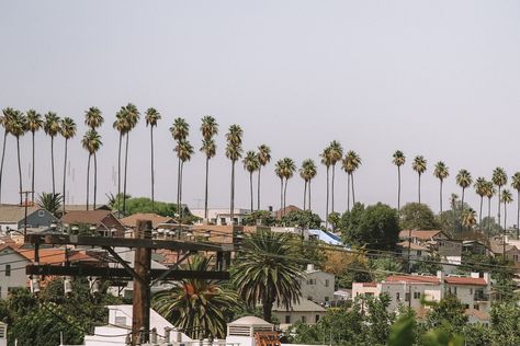 The Most Hipster Hood in Los Angeles: A Complete Guide to Silver Lake Silverlake Los Angeles Aesthetic, Los Angeles Silver Lake, La In The 90s, Billie Songs, Silver Lake California, Silverlake Los Angeles, Silver Lake Los Angeles, Los Angeles Aesthetic, Drink Shop