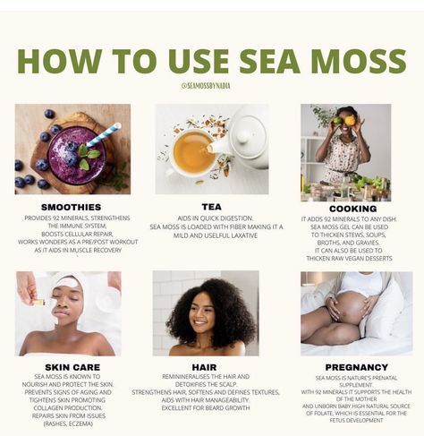 Seamoss Valley on Twitter: "Seamossvalley.con https://t.co/6rqbHnnBHS" / Twitter Seamoss Benefits, Dr Sebi Alkaline, Dr Sebi Alkaline Food, Dr Sebi, Herbs For Health, Alkaline Foods, Sea Moss, Organic Health, Health Facts