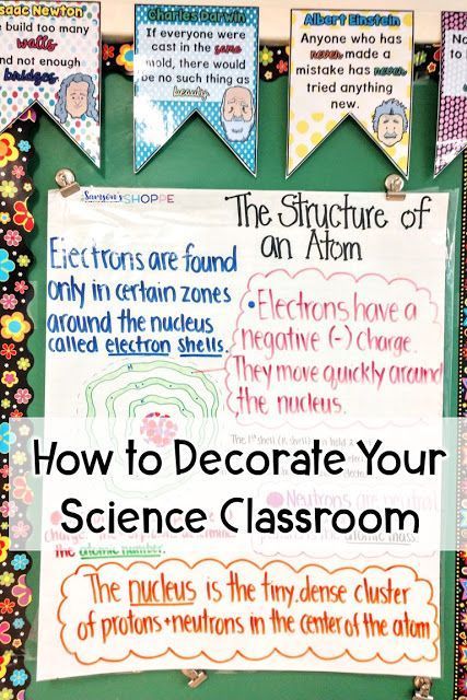 Classroom Decor Ideas, Life Science Activities, Middle School Science Classroom, Science Anchor Charts, Science Room, Science Classroom Decorations, 7th Grade Science, 8th Grade Science, 4th Grade Science