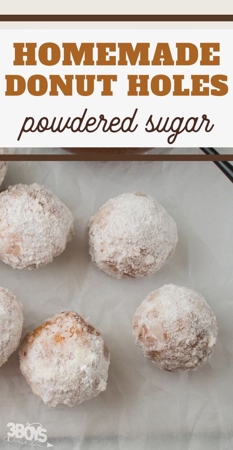 Donut Holes Recipe, Best Donut Recipe, Blueberry Doughnuts, Gingerbread Donuts, Donut Hole Recipe, Mardi Gras Cake, Biscuit Donuts, Homemade Donuts Recipe, Powdered Donuts