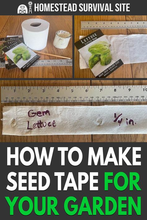 Seed Tape Diy, Seed Tape, Herbal Tea Garden, When To Plant Vegetables, Garden Help, Food Forest, Homestead Survival, Garden Yard Ideas, Edible Plants