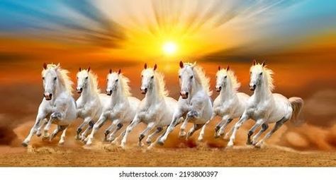 Running Horse Wallpaper For Phone, White Horse Wallpaper, Seven Running Horses, 7 Horses Running Painting Vastu Wallpaper, Seven Horses Painting, Seven Horses, 7 Horses, Magic Decor, Horse Background