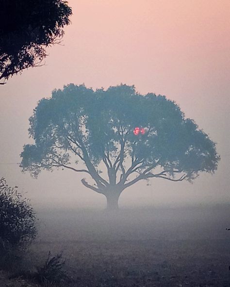 Ek thand ki subh chupe suraj or thandi hawao k sath. Kuch pal apne liye apne sath. Early Winter Morning, City Life Photography, Winter Morning, Early Winter, Morning Sunrise, Bmw I8, Winter Mornings, Red Sun, Wallpaper Images