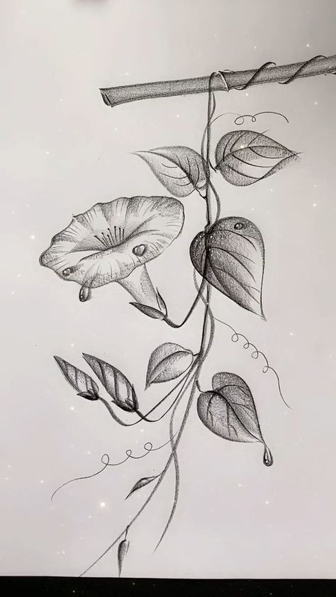 Easy Hand Drawings, 3d Pencil Drawings, Pencil Drawings Of Flowers, Pencil Drawings For Beginners, Beautiful Flower Drawings, Venomous Snakes, Flower Drawing Tutorials, Nature Art Drawings, Pencil Sketch Images