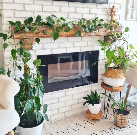 white brick fireplace with vine plants on the wooden mantle Plants On Fireplace, Plants On Fireplace Mantle, Harth Fireplace, Bohemian Fireplace, Fireplace Mantels Ideas, Fireplace Mantel Ideas, Traditional Fireplace Mantel, Modern Fireplace Mantels, Vine Plants