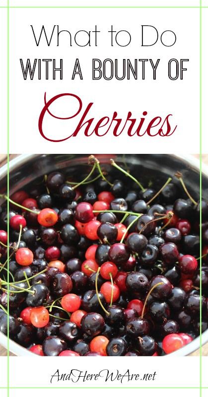 What to do with a bounty of cherries What To Do With Cherries, Preserving Cherries, Fresh Cherry Recipes, Incredible Edibles, Cherry Recipes, Cherry Fruit, Fresh Cherries, Seasonal Recipes, Fermented Foods