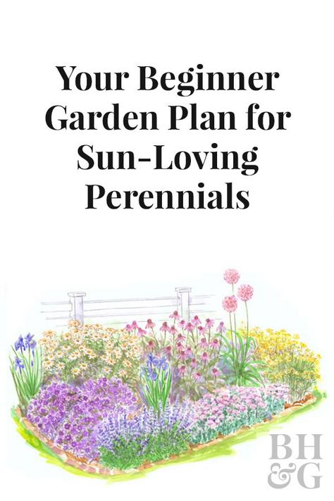 Our free planting guide for this garden includes a larger version of the illustration, a detailed layout diagram, a list of plants for the garden as shown, and complete instructions for installing the garden! Perrenial Gardens, Beginner Garden, Garden Beginner, Gardening Wedding, Gardening Illustration, Perennial Garden Design, Flower Garden Layouts, Full Sun Garden, Perennial Garden Plans