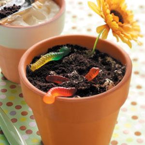 Classic Dirt Cake Recipe.  Healthier option: omit the butter and sugar, use fat-free pudding, use skim or 1% milk, and use Neufchatel cheese instead of cream cheese Edible Dirt, Dirt Dessert, Dirt Cake Recipes, Dirt Pudding, Dirt Cake, Cream Desserts, Just Desserts, Flower Pot, Oreo