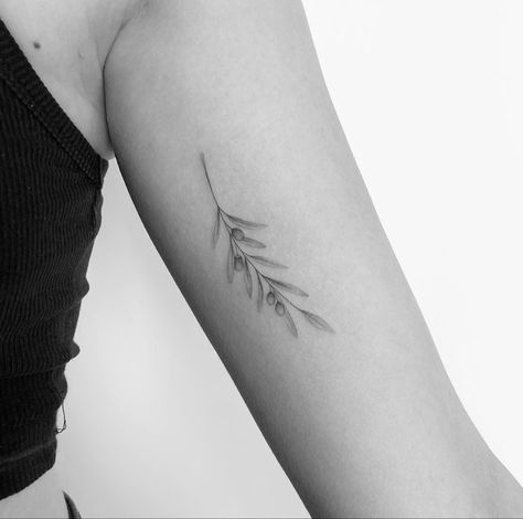 Olive Branch Simple Tattoo, Tattoo Olive Leaf, Olive Branch Tattoo Upper Arm, Olive Branch Stamp Tattoo, Minimal Olive Branch Tattoo, Olive Branch Line Drawing, Olive Branch Hip Tattoo, Olive Branch Arm Tattoo, Simple Olive Branch Tattoo