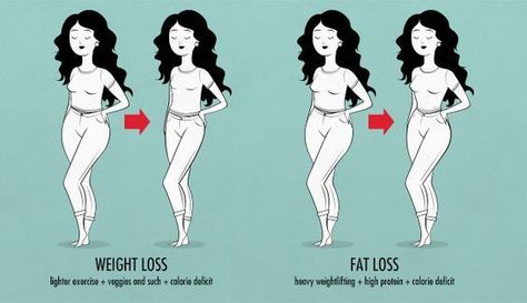 female body shapes & somatotypes—female ectomorph, endomorph, mesomorph:                                                                                                                                                     More Juicing Recipes For Beginners, Sporty Lifestyle, Girly Tips, Workout Man, Fat Loss Program, Michelle Lewin, Fat Loss Diet, Body Confidence, Fat Loss Workout