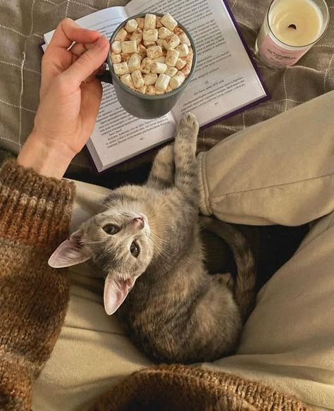 Diy Crochet Blanket, Cat Reading A Book, September Aesthetic, Hot Chocolate With Marshmallows, Chocolate With Marshmallows, Cozy Autumn Aesthetic, Fall Bonfire, Crochet Blanket Diy, Amazing Aesthetic