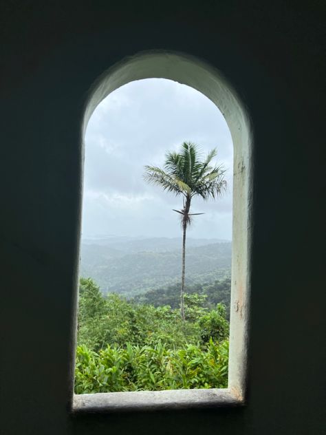 El yunque rainforest window El Yunque Rainforest Pictures, Rainforest Pictures, El Yunque Rainforest, Visit Romania, Puerto Rican Culture, Puerto Rican, Art Portfolio, Culture Art, Romania