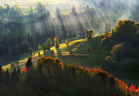 Evening light by Sergey Nesterchuk / 500px Photography Contest, Evening Light, Shadow Art, Photography Contests, Best Photographers, Countries Of The World, Science And Nature, Landscape Photos, Life Is Beautiful