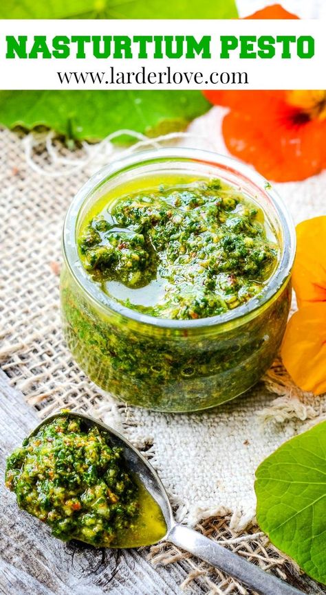 Nasturtium Pesto Vegan, Nasturtium Leaves Recipes, Indoor Nasturtium, Nasturtium Benefits, Nasturtium Pesto, Nasturtium Recipes, Dip With Veggies, Recipes Pesto, Edible Flowers Recipes