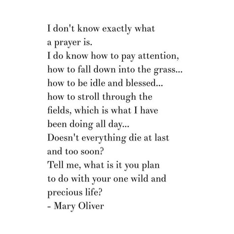 Mary Oliver One Wild And Precious Life, Mary Oliver Quotes, Mary Oliver Poems, Wild And Precious Life, Quotes Dream, Mary Oliver, Robert Kiyosaki, Poetry Words, Poem Quotes