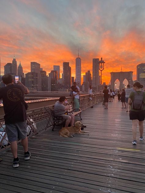 New York In Summer Aesthetic, Nyc Aesthetic Lifestyle, Nyc Aesthetic Summer, Summer In The City Aesthetic, New York Summer Aesthetic, New York Aesthetic Summer, Summer City Aesthetic, Nyc In Summer, Nyc Summer Aesthetic