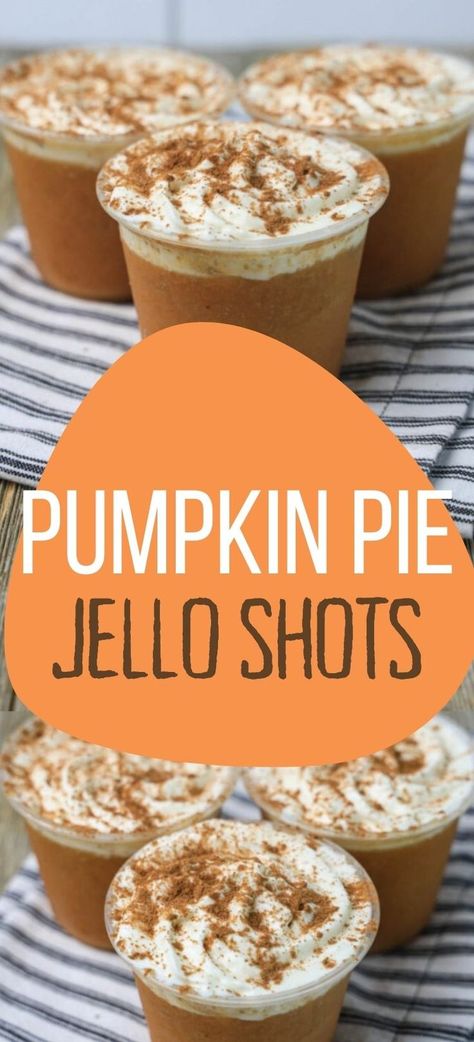 Fall Jello Shots, Thanksgiving Jello, Holiday Jello Shots, Best Jello Shots, Halloween Jello Shots, Halloween Jello, Jelly Shots, Pudding Shots, Pumpkin Pudding