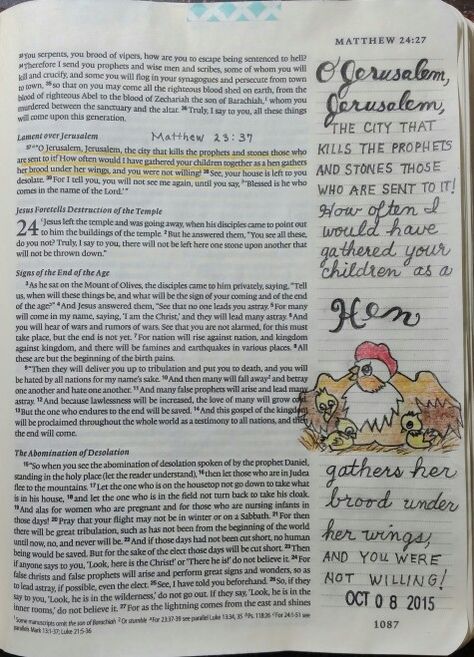 Matthew 23:37 - by Paula-Kay Bourland Bible Journal Matthew, Matthew 23, Journal Doodling, Matthew Bible, Faith Journaling, Journaling Bible, Bible Love, Keeping A Journal, Illustrated Faith