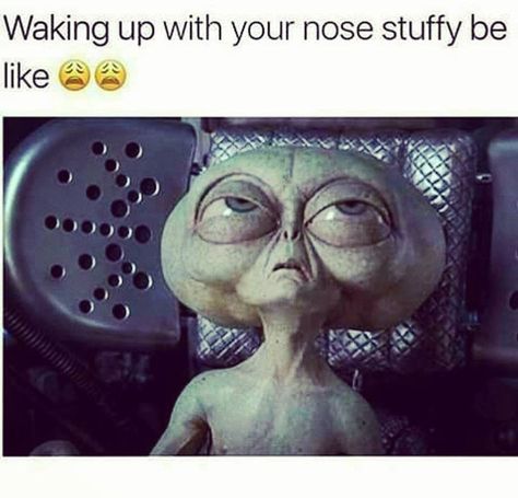 Uggh damn allergies 👽 #moodbelike #wakinguplike #allergies #funny Allergy Memes, Allergies Funny, Arthur C Clarke, Wake Up With You, Terence Mckenna, Alien Life Forms, Men In Black, Come Here, 1 Peter